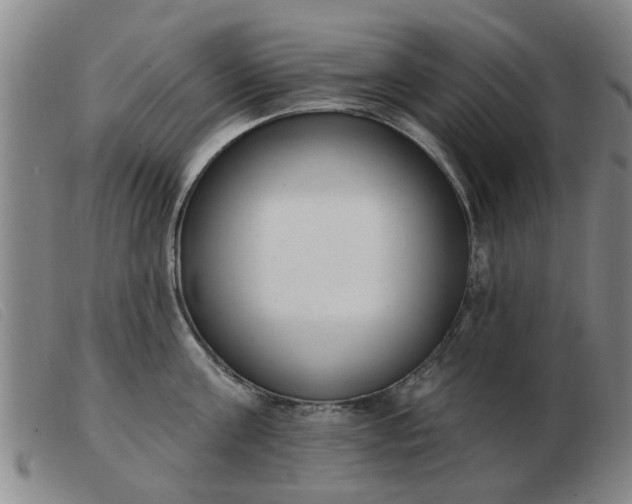 X0000103420811200809191636
