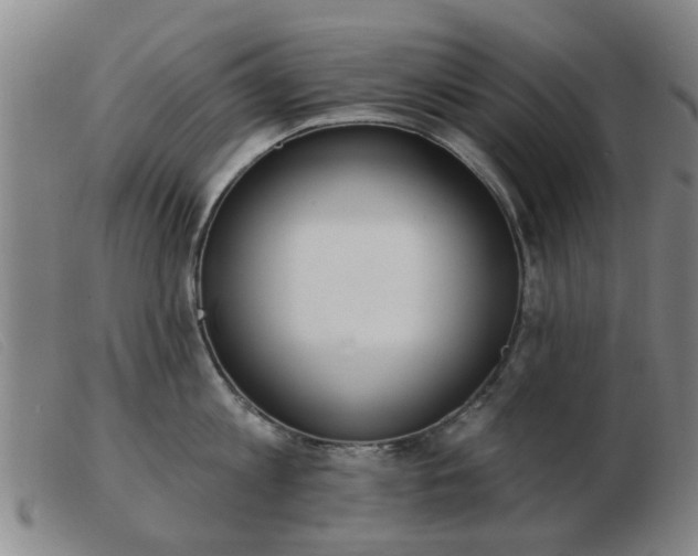 X0000103420813200809191636