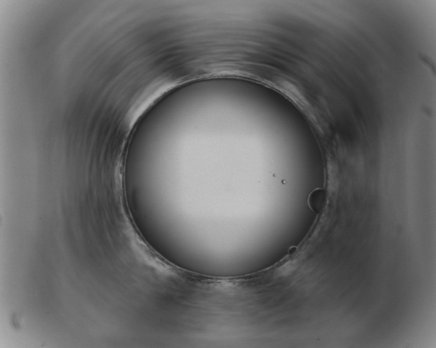 X0000103420814200809191636