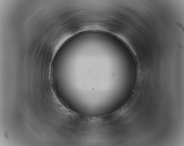 X0000103420815200809191636