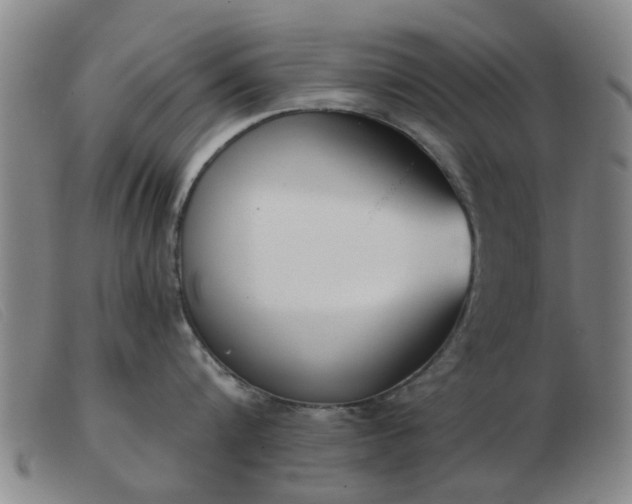 X0000103420816200809191636