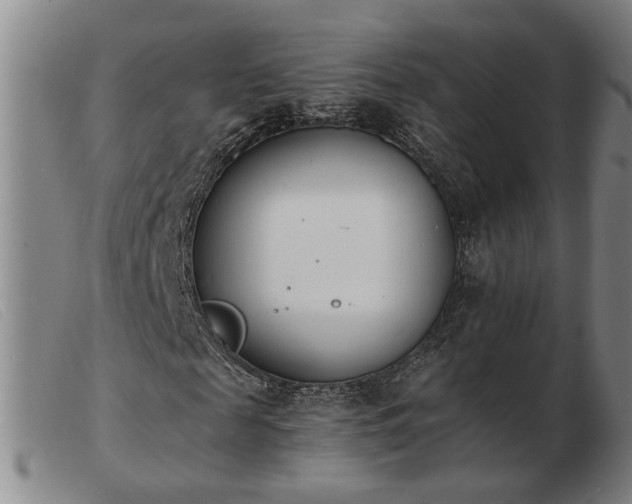 X0000103420817200809191635