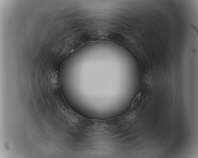 X0000103420818200809191635