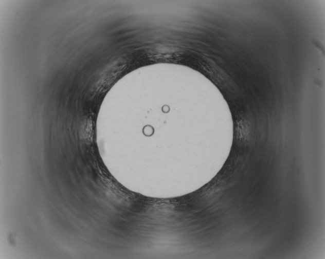 X0000103420820200809191635