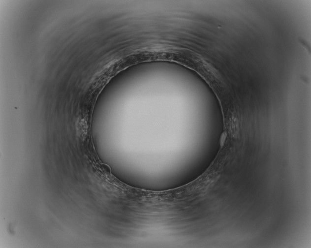 X0000103420821200809191635