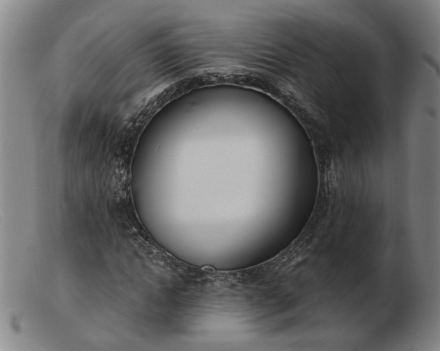 X0000103420822200809191635