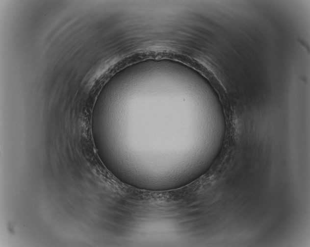 X0000103420823200809191635