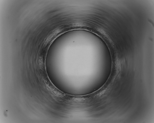 X0000103420825200809191635