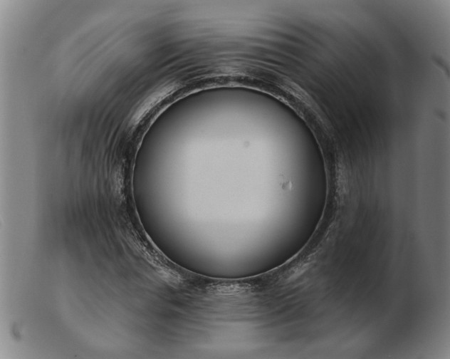 X0000103420826200809191635