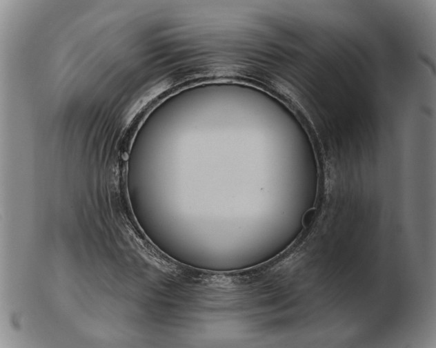 X0000103420827200809191635
