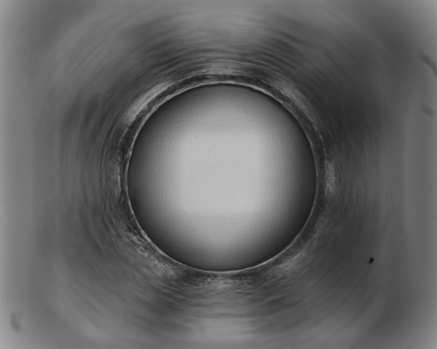X0000103420829200809191635