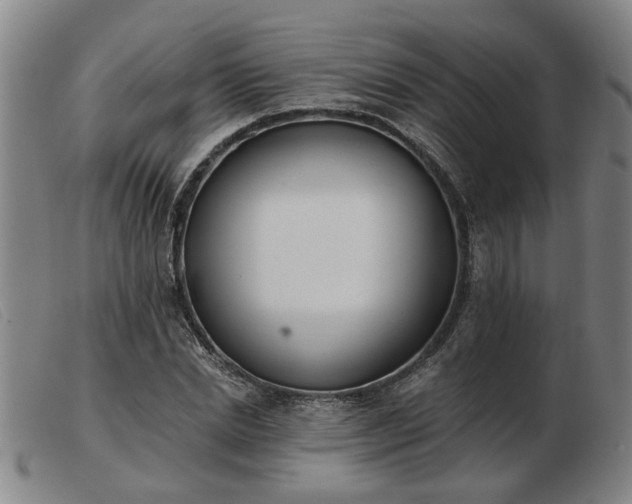 X0000103420830200809191635