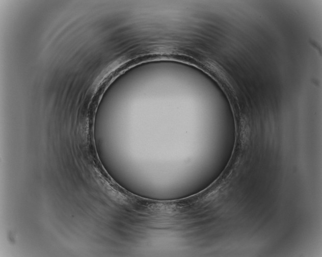 X0000103420831200809191635