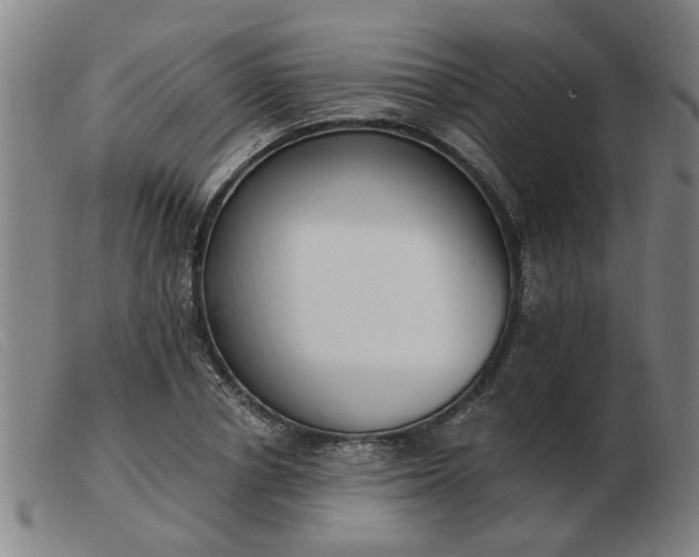 X0000103420834200809191635