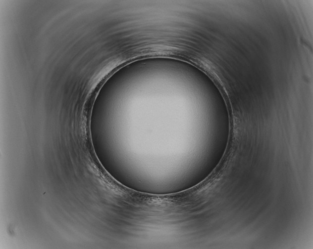 X0000103420835200809191635