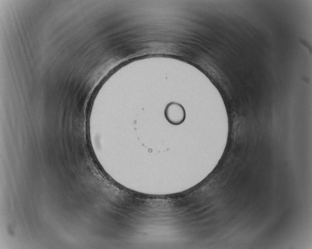 X0000103420836200809191635