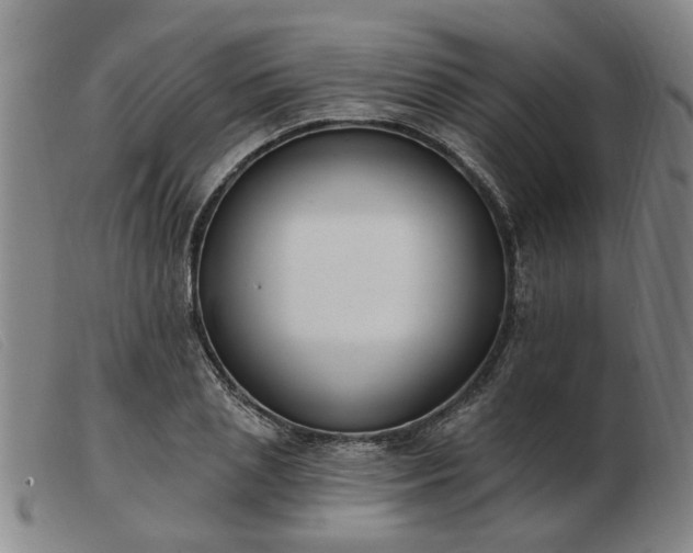 X0000103420837200809191635