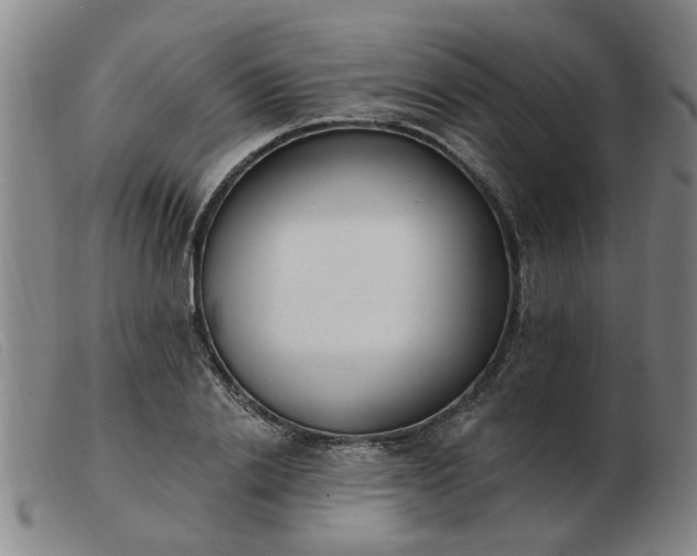 X0000103420838200809191635