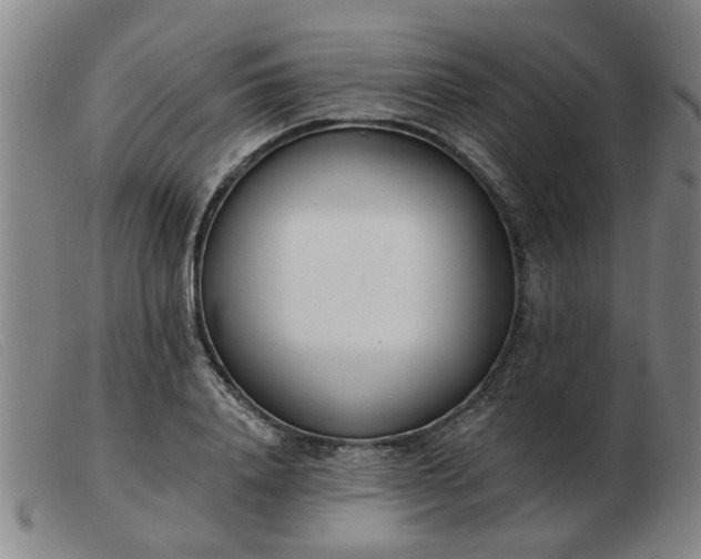 X0000103420840200809191635
