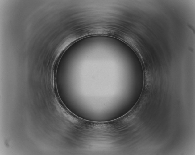 X0000103420843200809191635