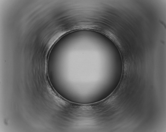 X0000103420844200809191635