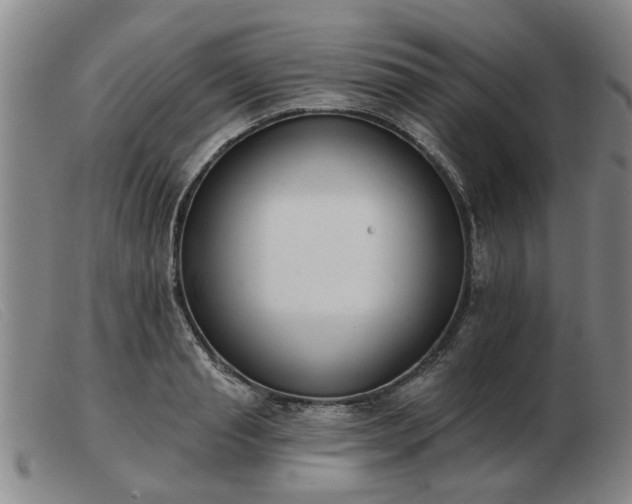 X0000103420845200809191635