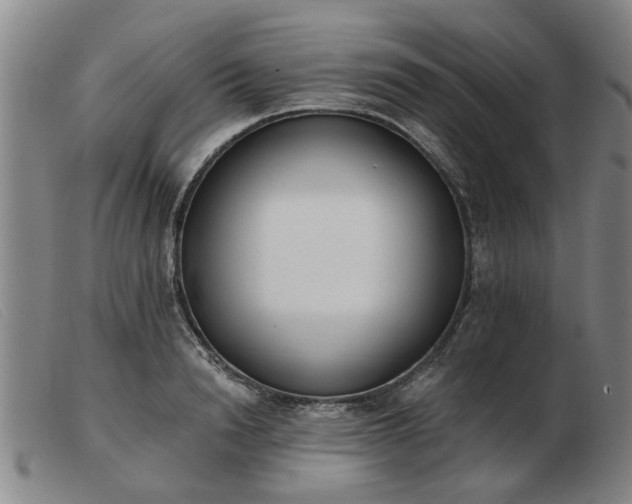 X0000103420846200809191635
