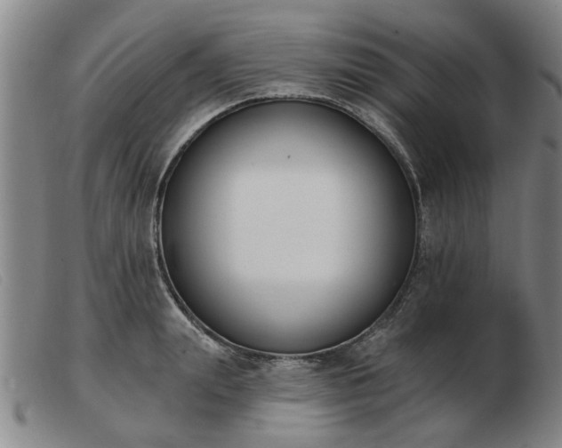 X0000103420847200809191635