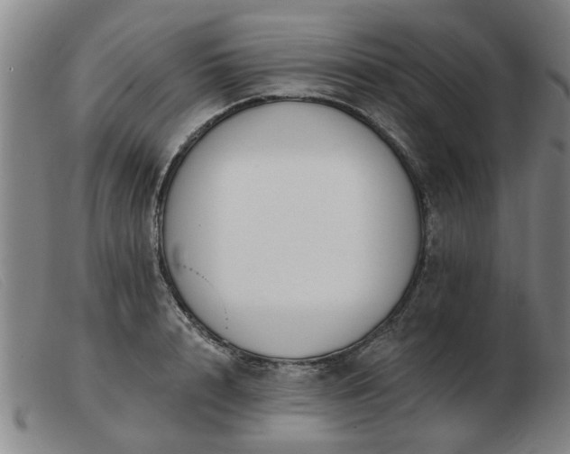 X0000103420848200809191635