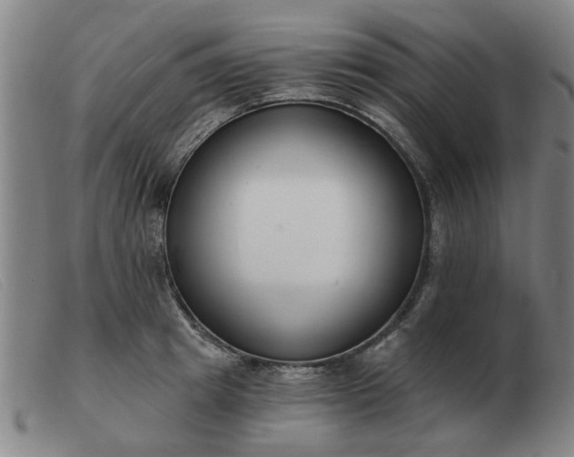 X0000103420849200809191635