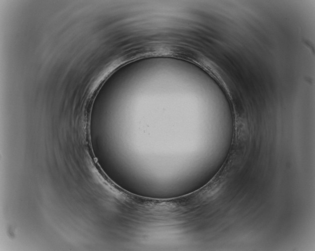 X0000103420851200809191635