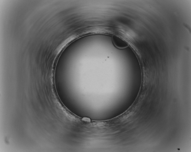 X0000103420853200809191635