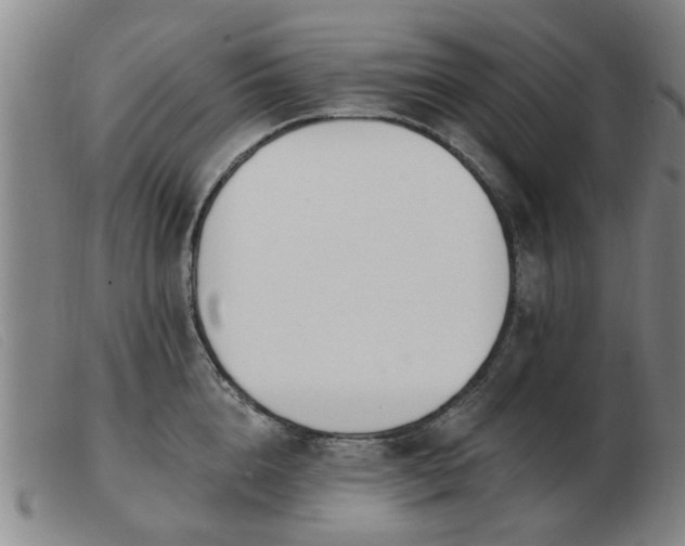 X0000103420856200809191635