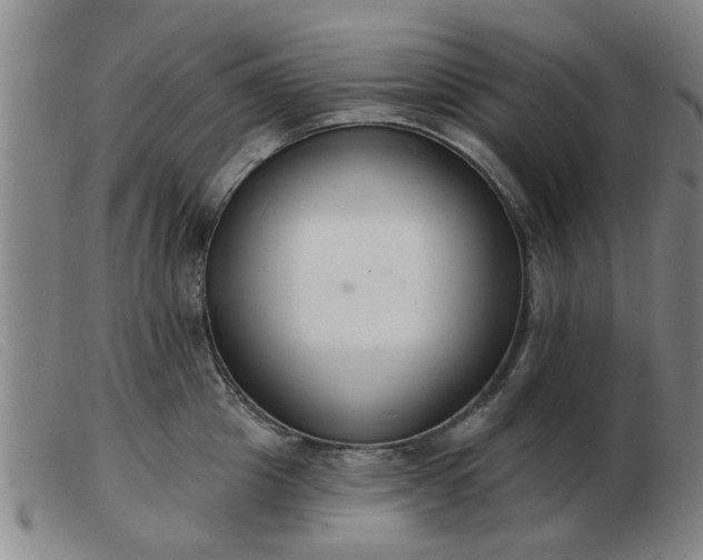 X0000103420857200809191635