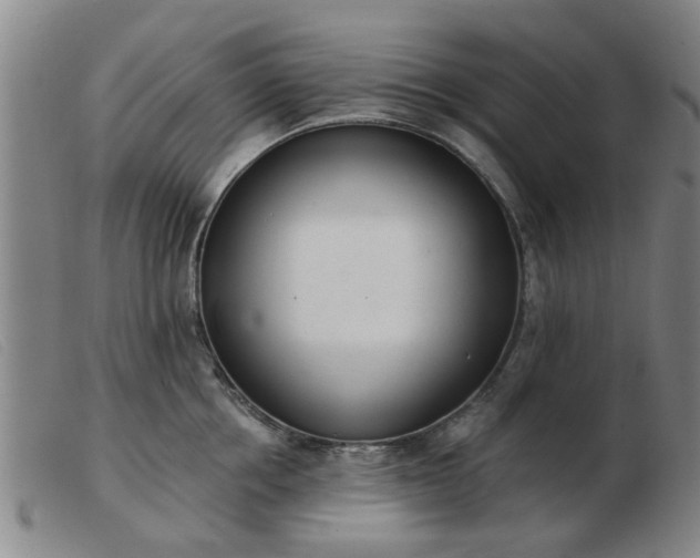 X0000103420858200809191636