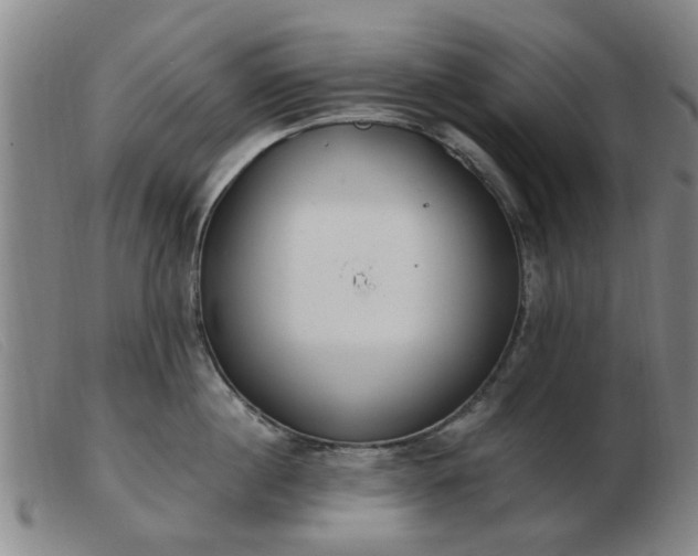 X0000103420860200809191636