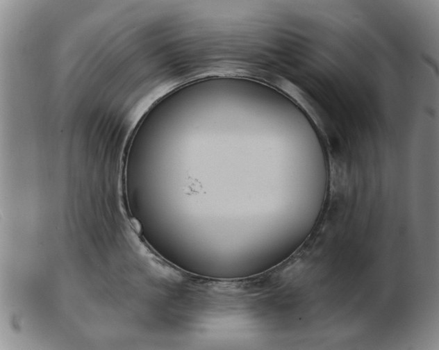 X0000103420861200809191636