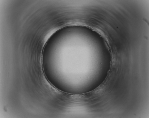 X0000103420863200809191636