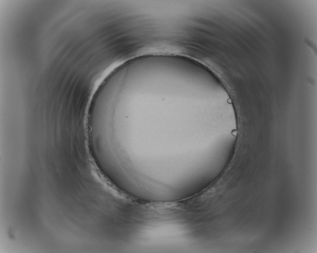 X0000103420864200809191636