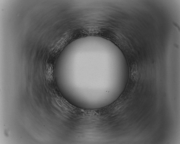 X0000103420866200809191635