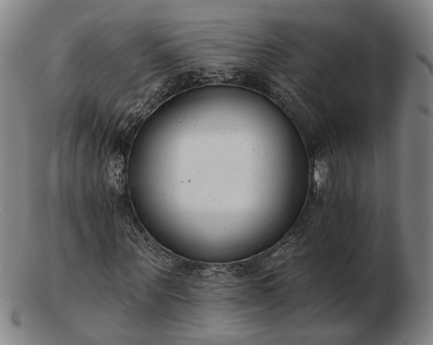 X0000103420867200809191635