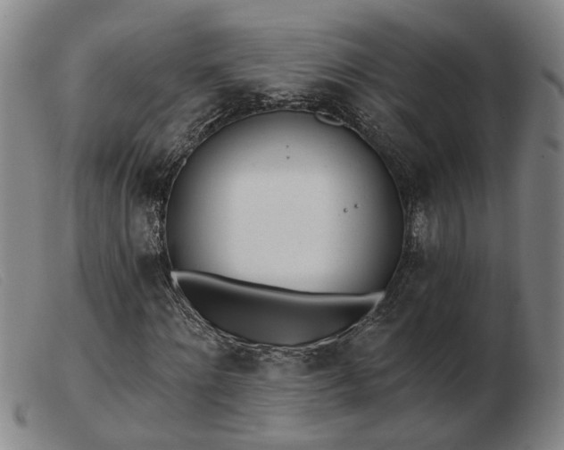 X0000103420868200809191635