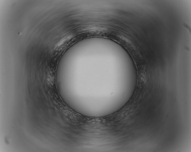 X0000103420869200809191635