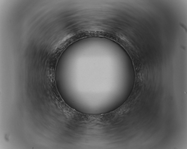 X0000103420870200809191635