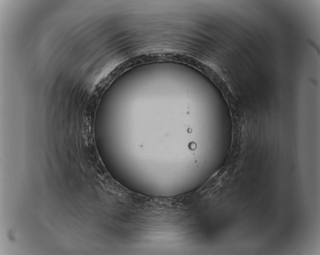 X0000103420871200809191635