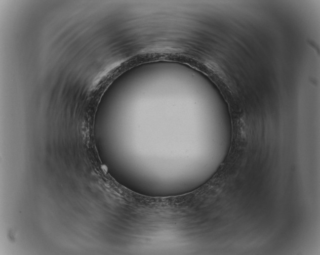 X0000103420872200809191635