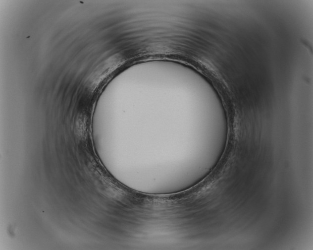 X0000103420873200809191635