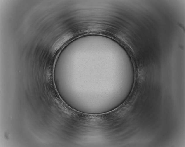 X0000103420874200809191635