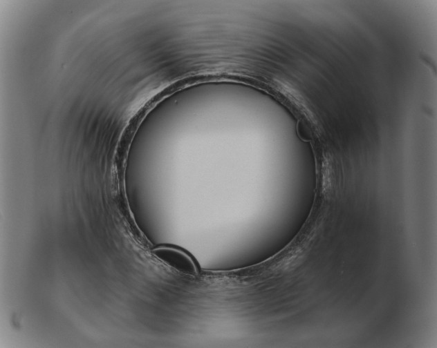 X0000103420876200809191635