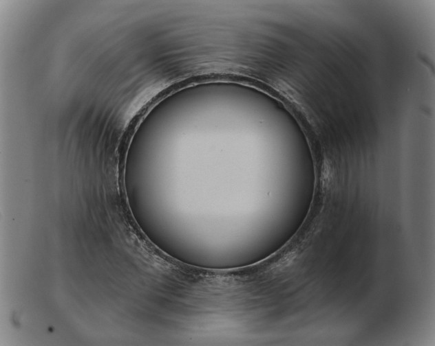 X0000103420877200809191635